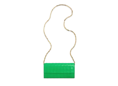 Bottega Veneta Intrecciato Calfskin Chain Wallet "Parakeet"