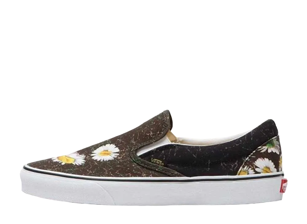 バンズ クラシック スリッポン "ミューテイテッドデイジーブラック/フリージア"