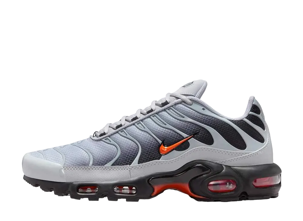 Nike Air Max Plus "Wolf Grey"