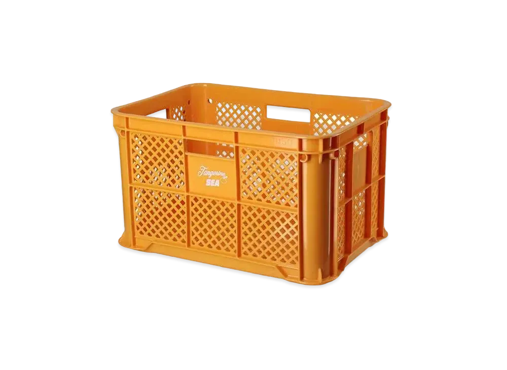 WIND AND SEA x Tangerine Container Box "Tangerine"