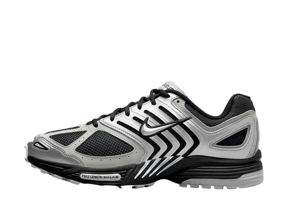 ナイキ エアペガサス 2K5 "メタリックシルバー"