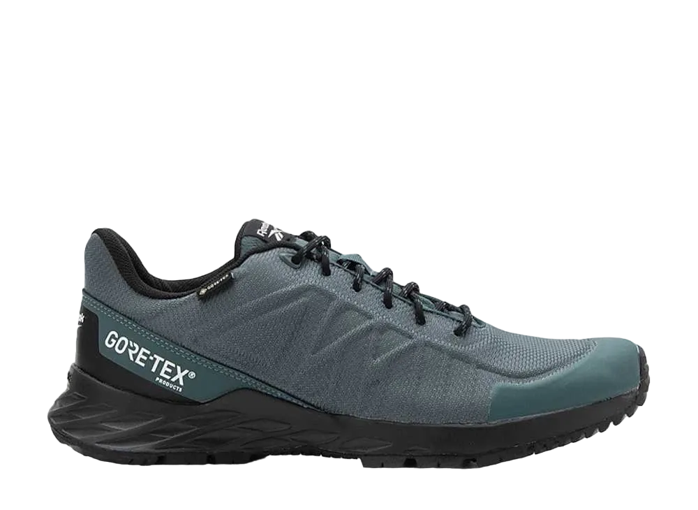 Reebok Astroride Trail GORE-TEX 2.0 "Hoops Blue"