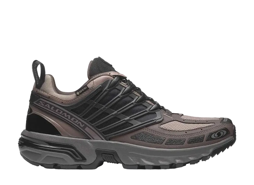 サロモン ACS プロ ゴアテックス "アイアン/プラムキトゥン"