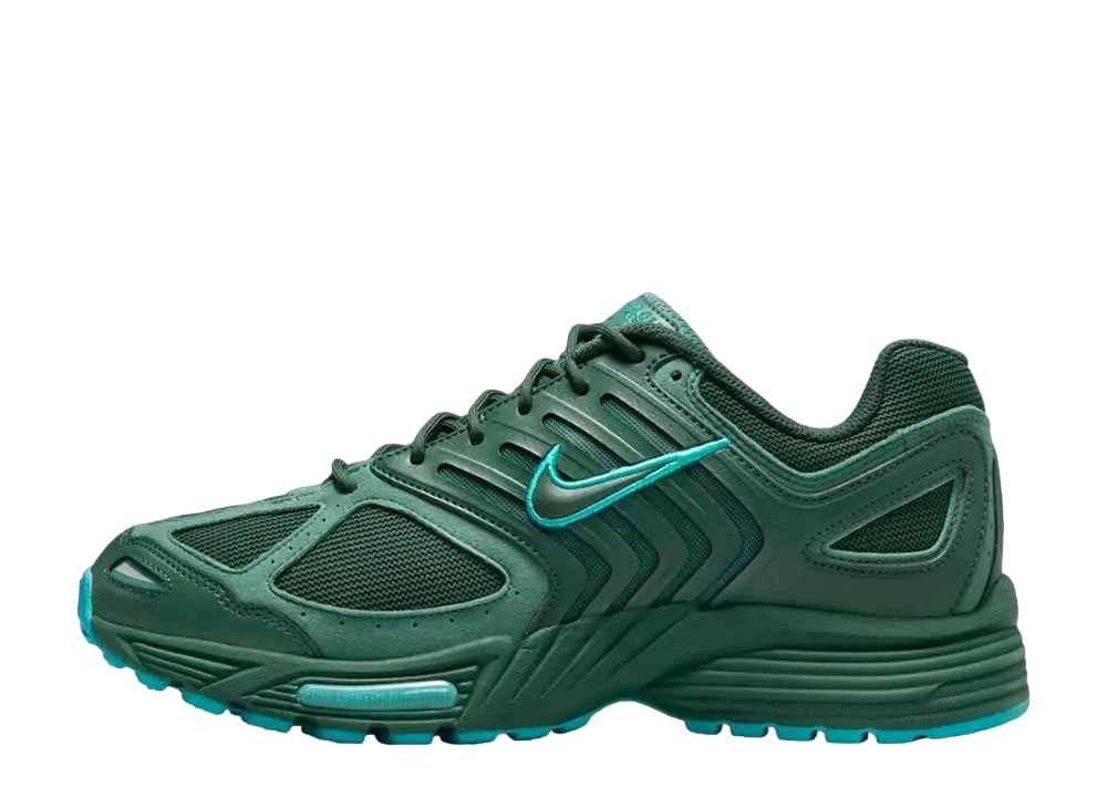 Nike Air Pegasus 2K5 "Fir/Bicoastal/Dusty Cactus"
