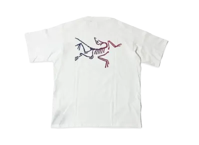 ARC'TERYX Kragg Cotton Logo SS M "White Light/Multi"