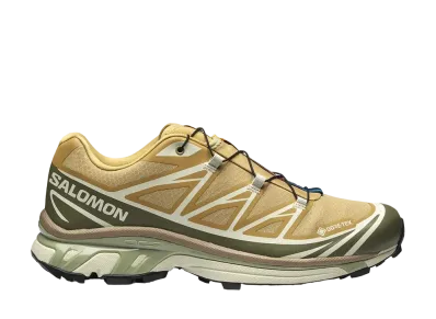 Salomon XT-6 GORE-TEX "Antelope"