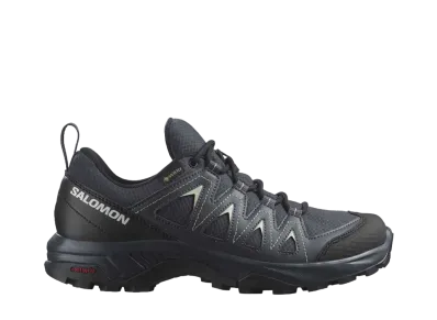 Salomon Women's X Braze GORE-TEX "India Ink/Black/Desert Sage"