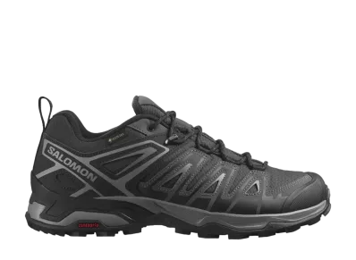Salomon X Ultra Pioneer GORE-TEX "Phantom/Black/Quiet Shade"