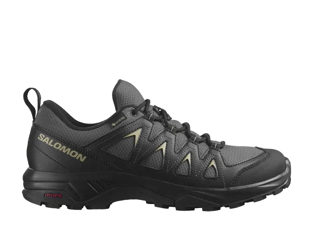 Salomon X Braze GORE-TEX "Magnet/Black/Gray Green"