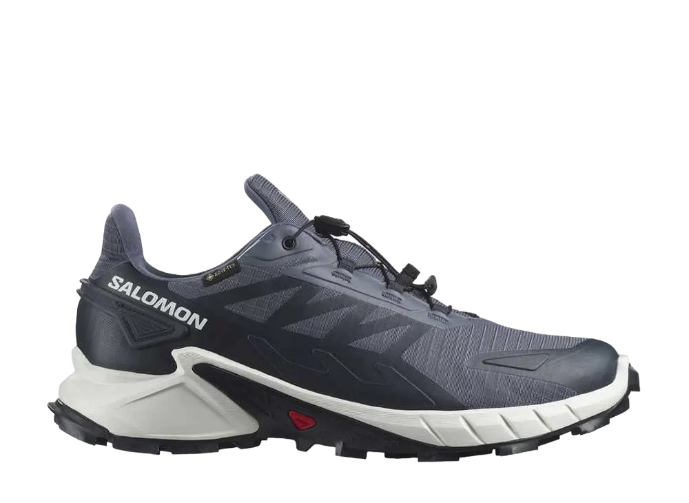 Salomon Supercross 4 GORE-TEX "Grisaille/White/Carbon"