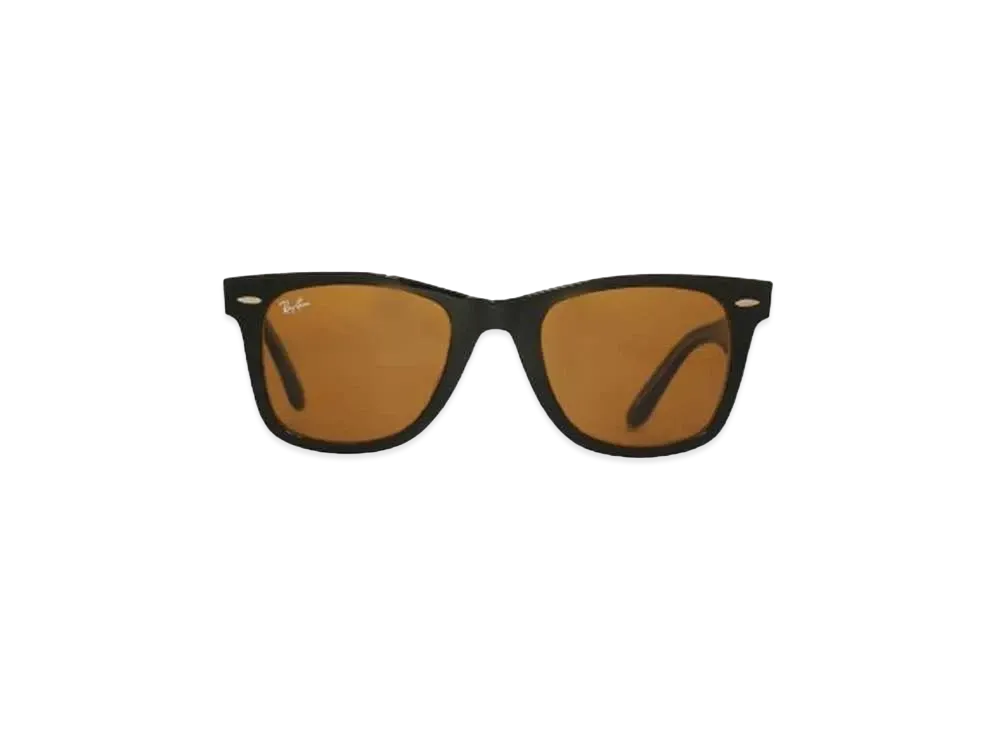 Ray-Ban WAYFARER "BLACK x BROWN"