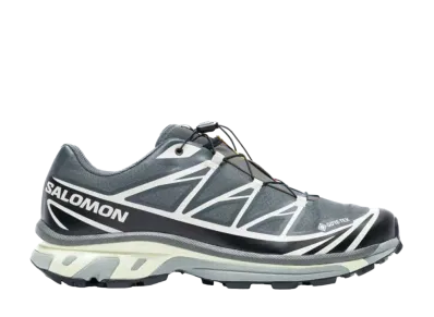 Salomon XT-6 GORE-TEX "Urban Chic/Black/Lime Cream"