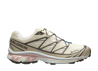 Salomon XT-6 GORE-TEX "Almond Milk/Feather Gray/Pale Mauve"