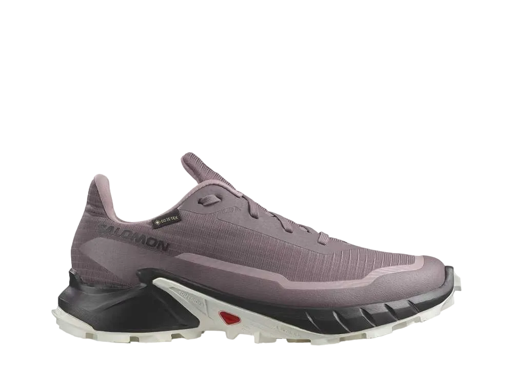 サロモン ウィメンズ アルファクロス5 ゴアテックス "ムーンスケープ/ブラック/ホワイト"