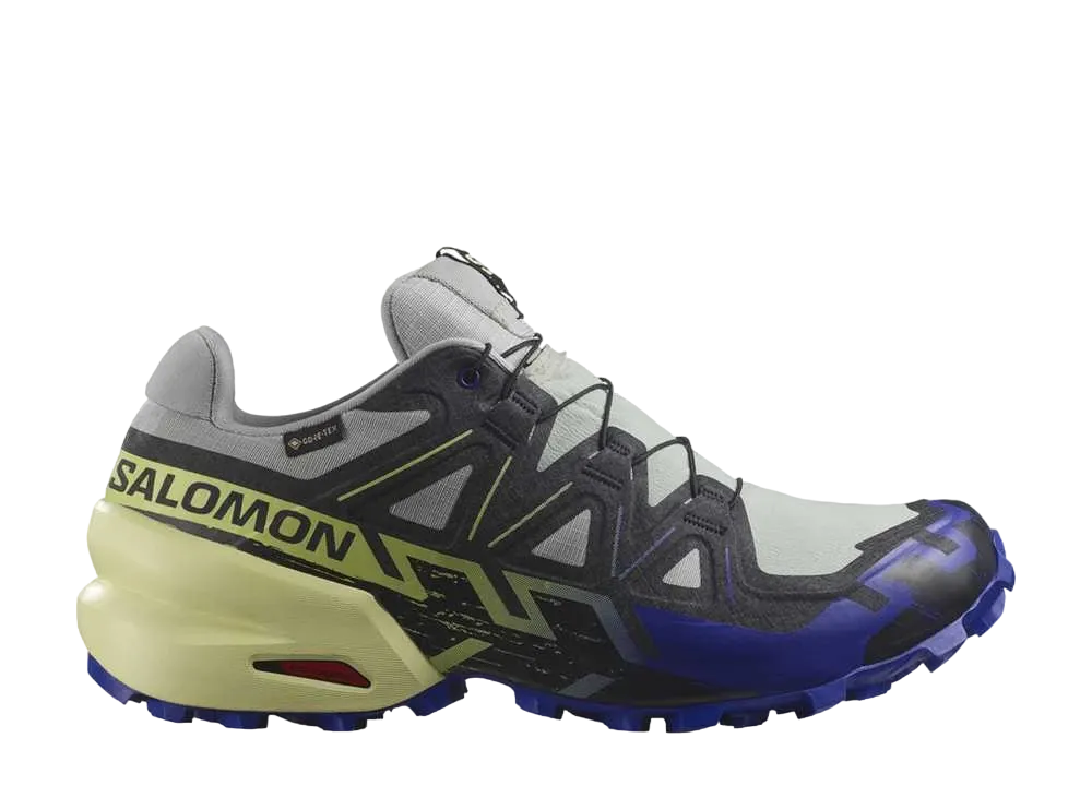 Salomon Speedcross 6 GORE-TEX "Wrought Iron/Clematis Blue/Sharp Green"