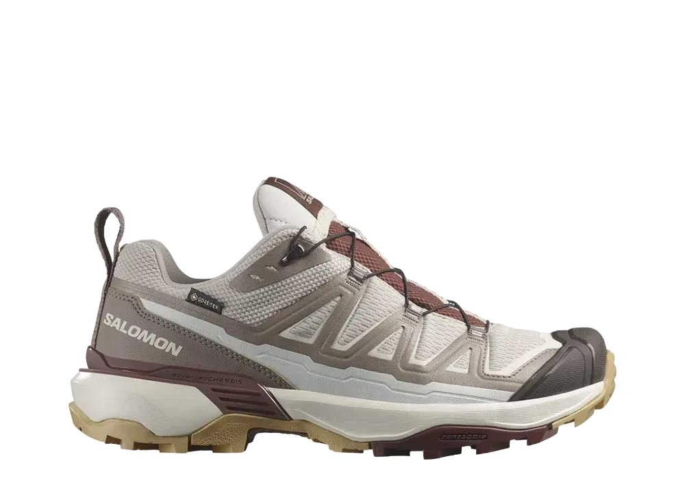 Salomon Women's X Ultra 360 Edge GORE-TEX "Silver Cloud/Iron/Rum Raisin"