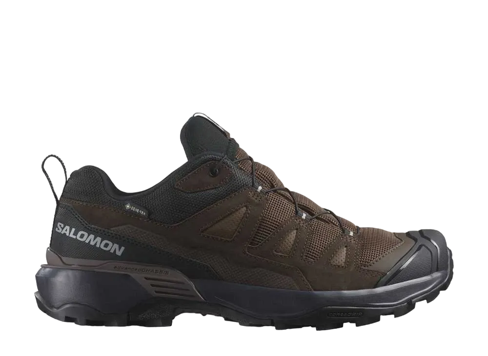Salomon X Ultra 360 Leather GORE-TEX "Dark Earth/Delicioso/Sharkskin"