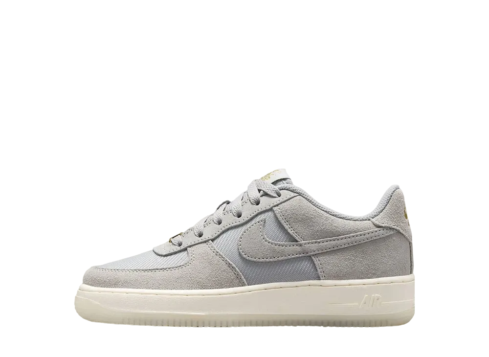 Nike GS Air Force 1 LV8 "ight Smoke Grey/Cement Grey/Metallic Gold"