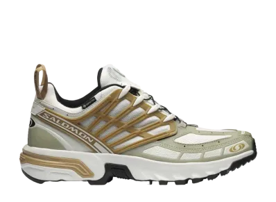 Salomon ACS PRO GORE-TEX "Icicle/Antelope/Tea"