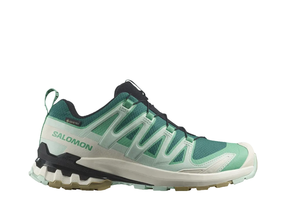 サロモン ウィメンズ XA プロ 3D V9 ゴアテックス "ディープレイク/エレクトリックグリーン/バニラアイス"