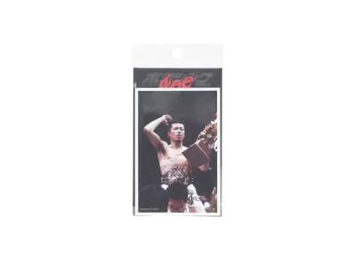 辰吉丈一郎デビュー35周年記念展 \ Joichiro Tatsuyoshi x Boxing Magazine Sticker#19 "MULTI"