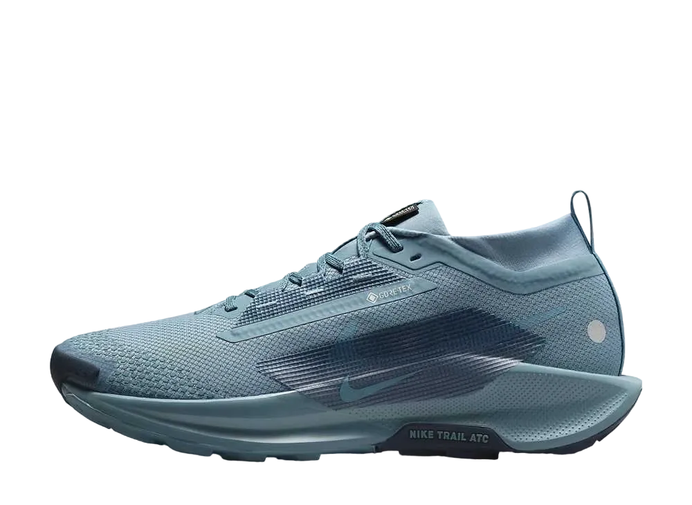 Nike Pegasus Trail 5 GORE-TEX "Smokey Blue/Light Silver/Armory Navy"