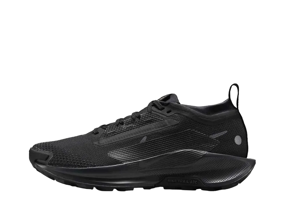 Nike Women's Pegasus Trail 5 GORE-TEX "Black/Anthracite"