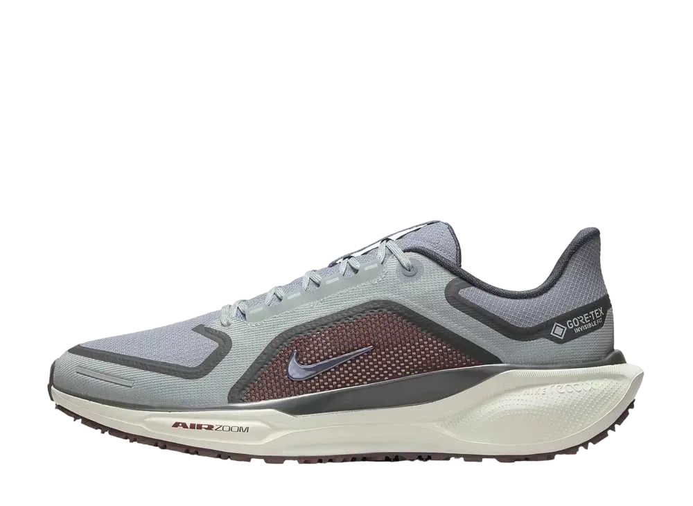 Nike Pegasus 41 GORE-TEX "Light Pumice/Burgundy Crush/Dark Smoke Grey/Ashen Slate"