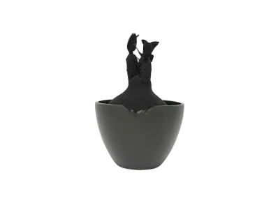 HAKKEI Black Pachypodium Gracilius Doji "Black"