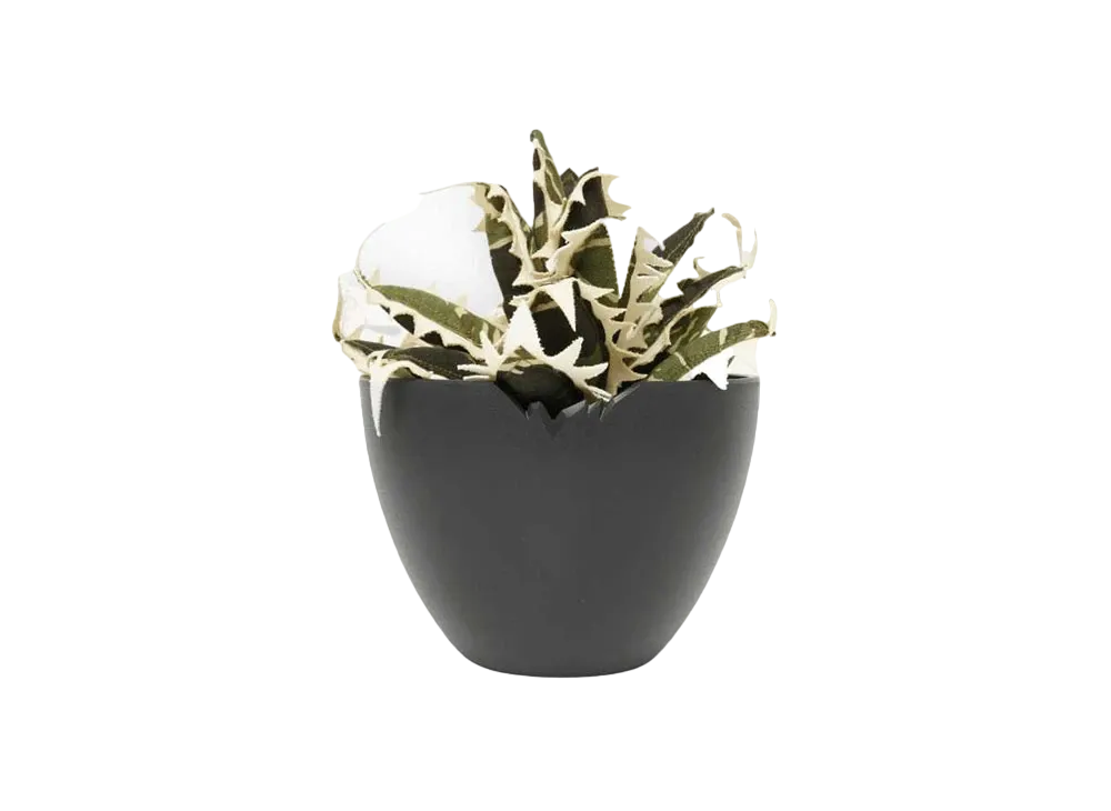 HAKKEI Agave Horrida Unhappy Doji "Camo"