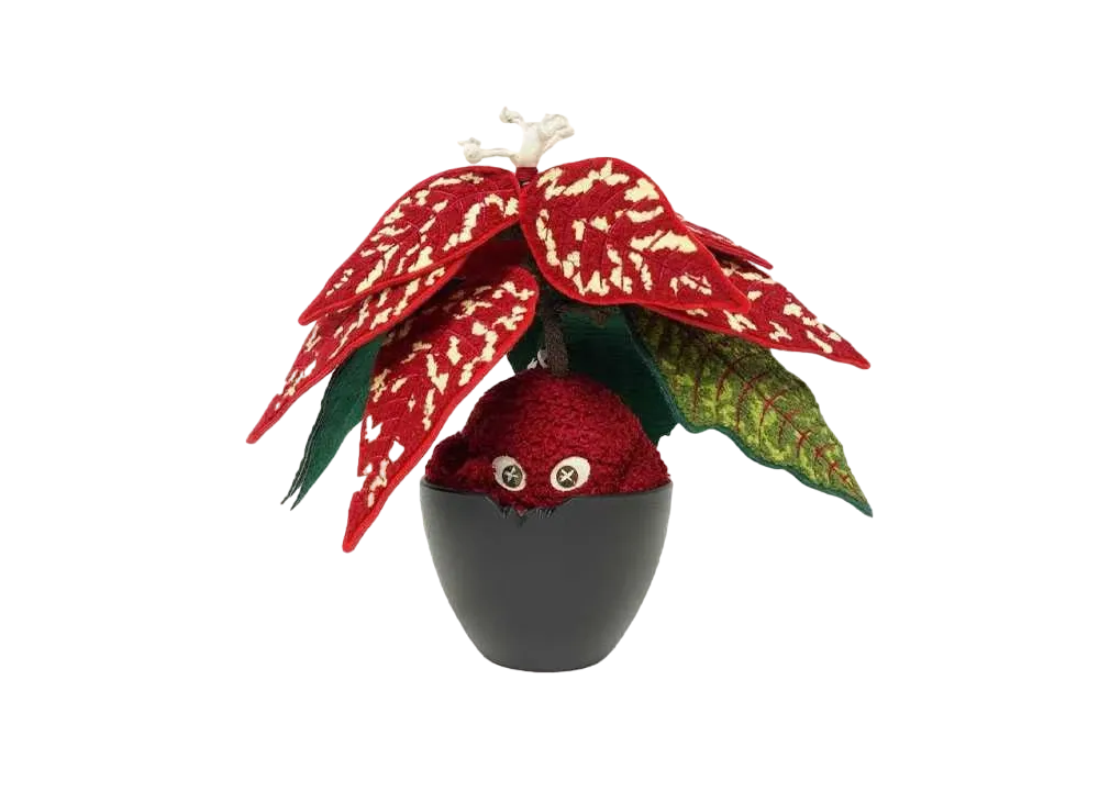 HAKKEI Poinsettia Doji "Red"