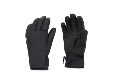 Goldwin Multi Ski Glove (Ski / Men's) "Black"