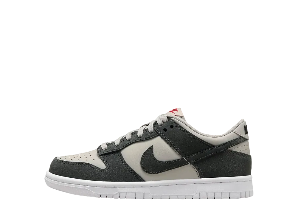 Nike GS Dunk Low "Light Iron Ore/White/Gym Red/Anthracite"