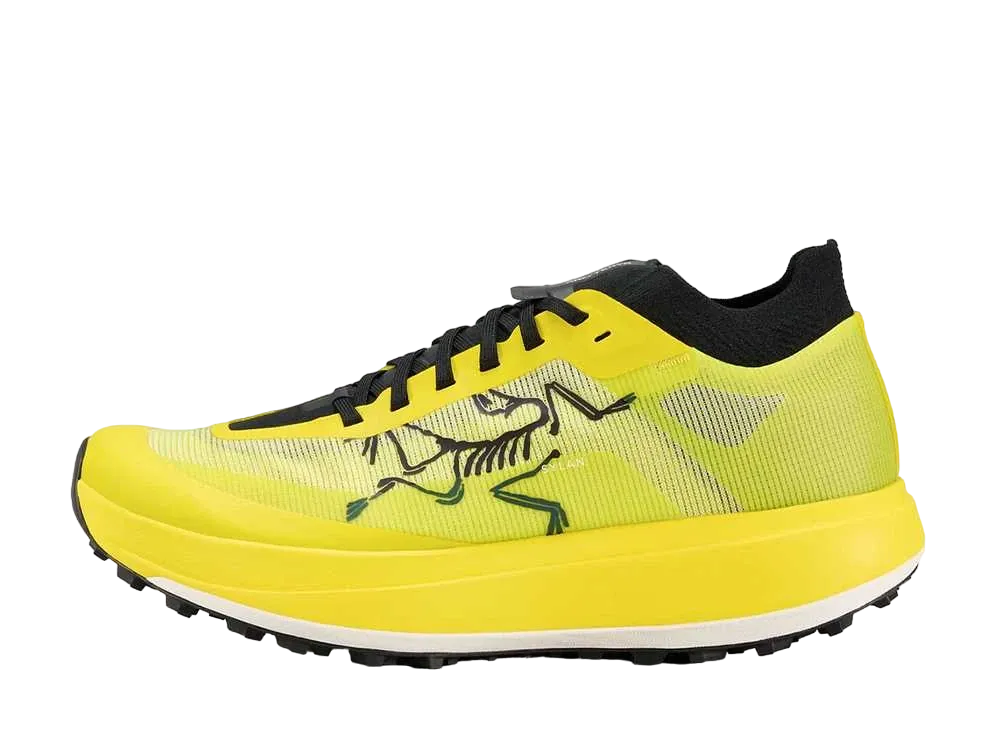 ARC'TERYX Sylan Pro "Euphoria"