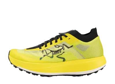 ARC'TERYX Sylan Pro "Euphoria"