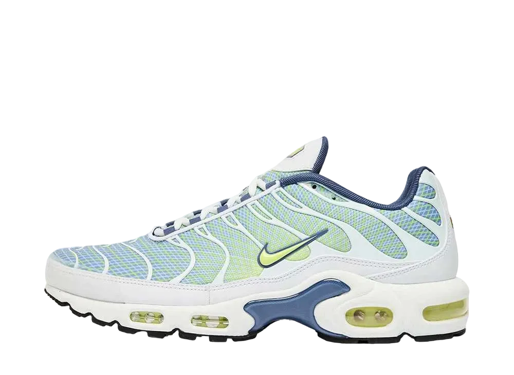 ナイキ エアマックスプラス "ウェーブグリッド"