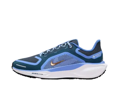 Nike Women's Air Zoom Pegasus 41 GORE-TEX "Cobalt Bliss/Armory Navy/Royal Pulse/Metallic Red Bronze"