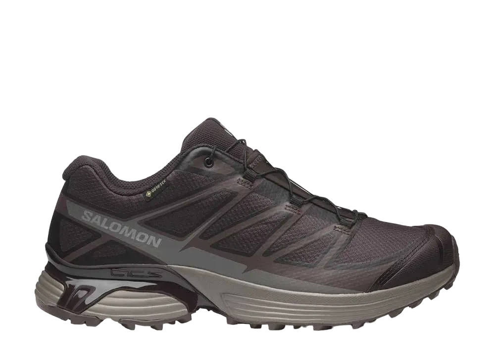 国内配送 SALOMON XT-PATHWAY GORE-TEX B.COFFEE/S.BAG/F.SILVER 国内配送 SALOMON XT-PATHWAY GORE-TEX B.COFFEE/S.BAG/F.SILVER