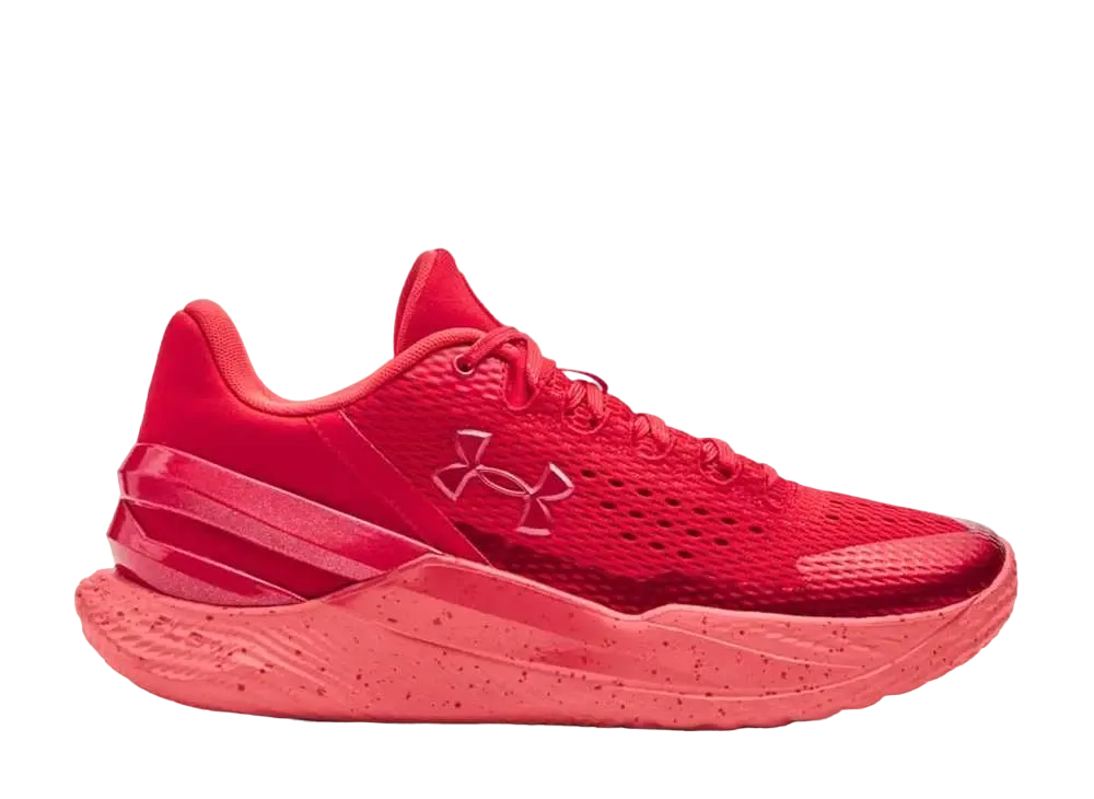 アンダーアーマー カリー2 ロー "フロトロ デビッドソン"