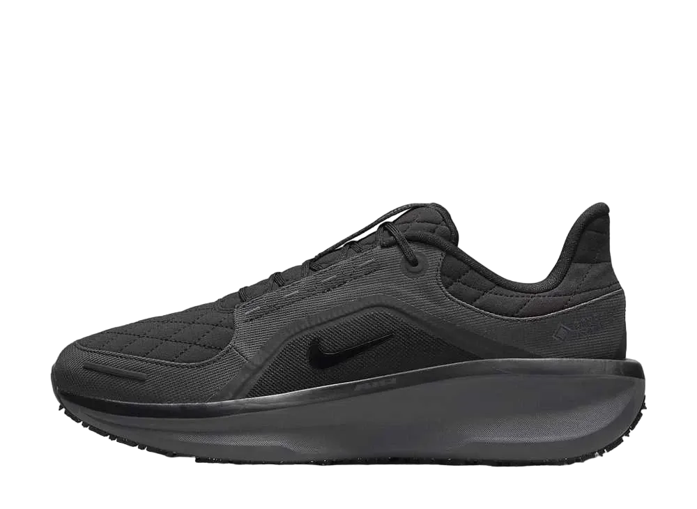 Nike Winflo 11 GORE-TEX "Black/Anthracite"