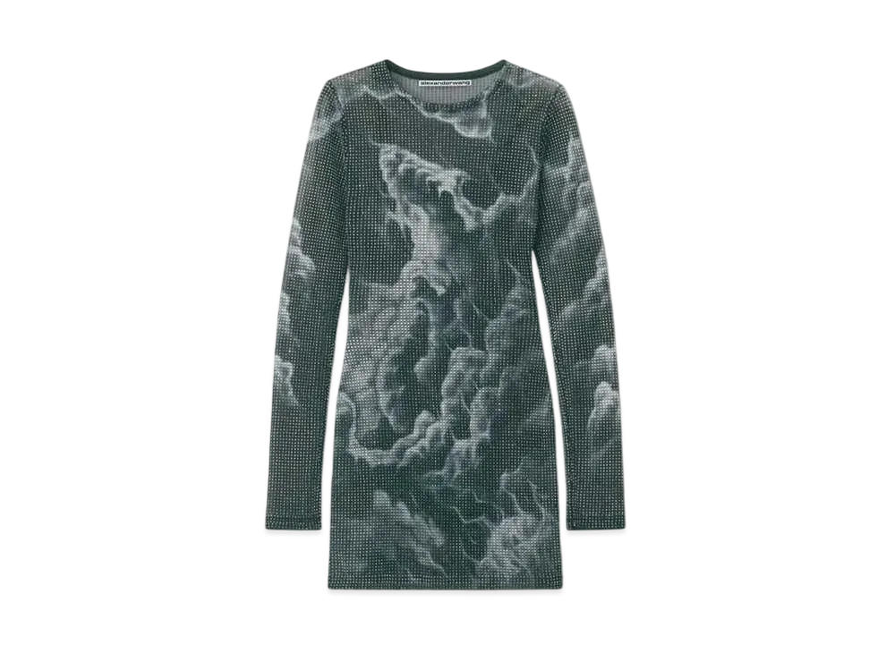 Alexander Wang Organza Jersey Crystal Hotfix Cloud Print Sheer Mini Dress "Black/Clear"