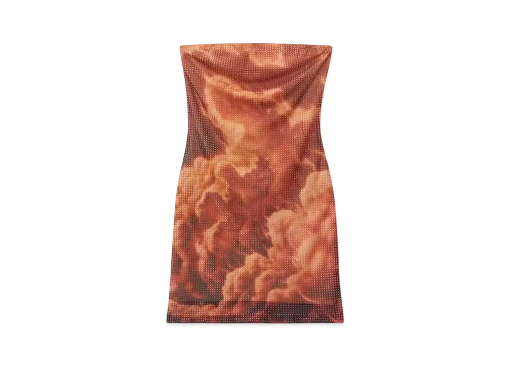 Alexander Wang Organza Jersey Crystal Hotfix Cloud Print Mini Dress "Red/Clear"