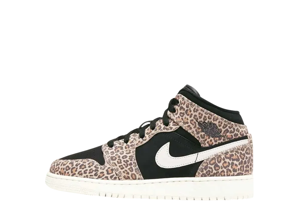 Nike GS Air Jordan Mid SE