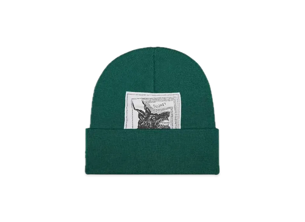 Supreme x The North Face Beanie "Green"