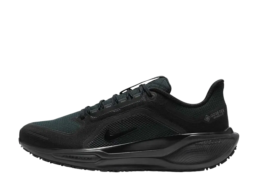 Nike Pegasus 41 GORE-TEX "Black/Anthracite"