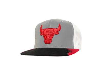Mitchell&Ness NBA DAY 5 SNAPBACK BULLS "GREY-WHITE"