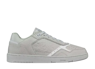 Dior B27 Low-Top Sneaker "Gray"