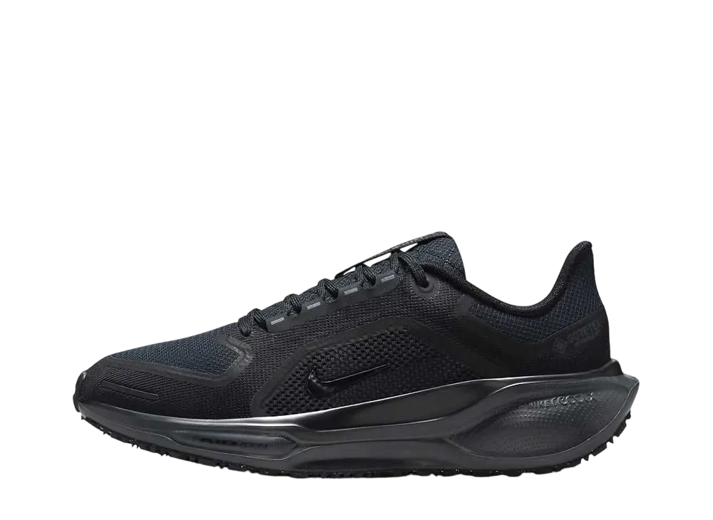 Nike Women's Pegasus 41 GORE-TEX "Black/Anthracite"
