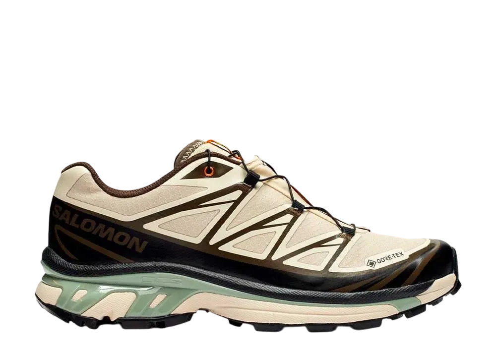 Sneakersnstuff (SNS) × Salomon XT-6 GORE-TEX "Almond Milk/Seagrass/Wren"