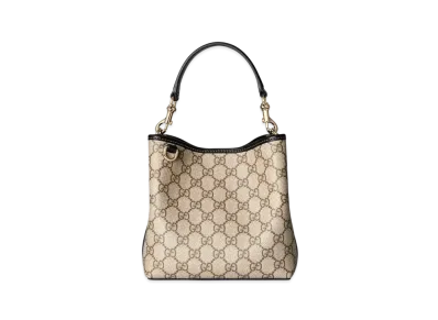 GUCCI GG Emblem Mini Shoulder Bag "Beige/Dark Brown"